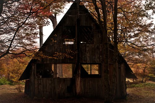 Fall, barn