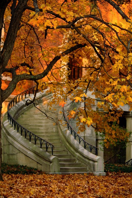 via the little book of secrets