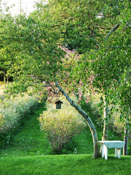 bird house in a garden