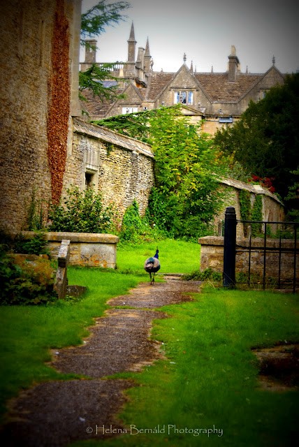 5-Helena Bernald Photography via 5th and State