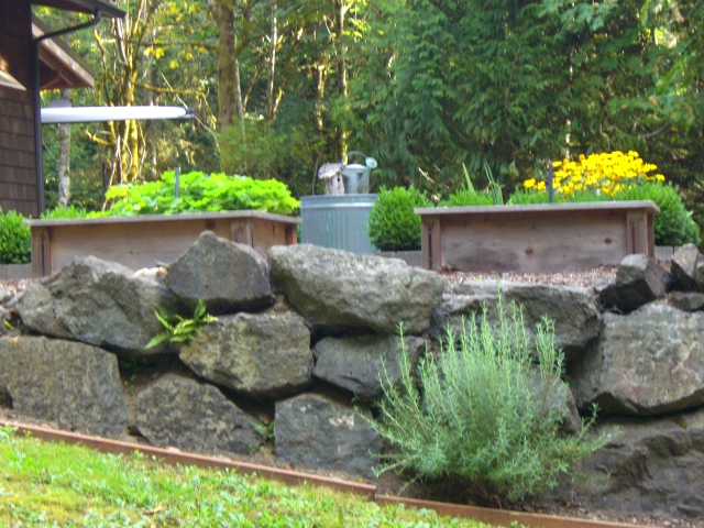 cutting garden from the lawn