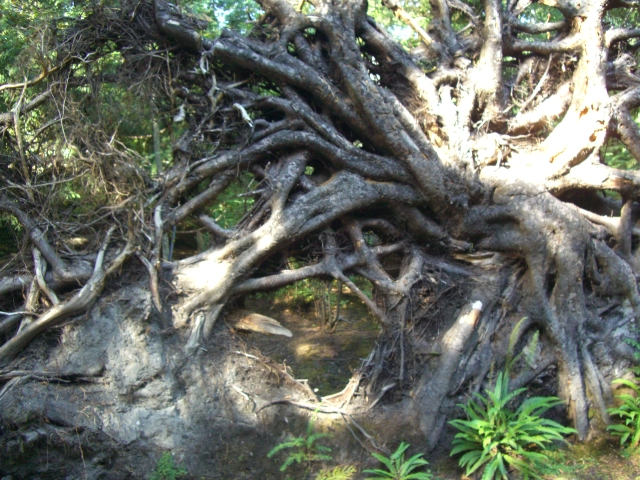 Garden, Home and Party, 10.2.12