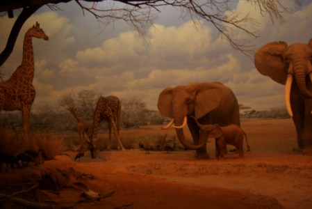 Garden, Home and Party, a wedding on my mind 11.1.12