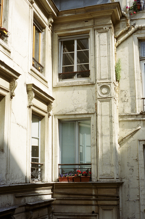 Garden, Home and Party