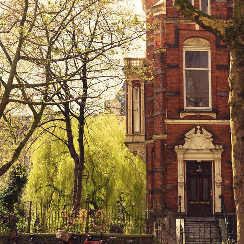 Garden, Home and Party, 10.30.12