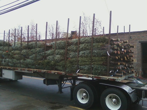 Garden, Home and Party 12.11.12