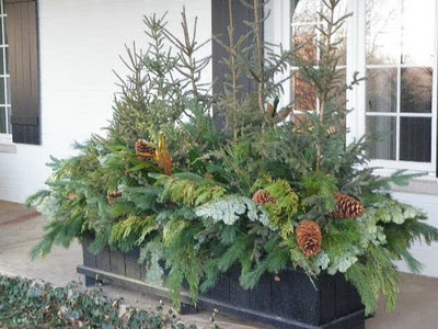 Garden, Home and Party 12.11.12