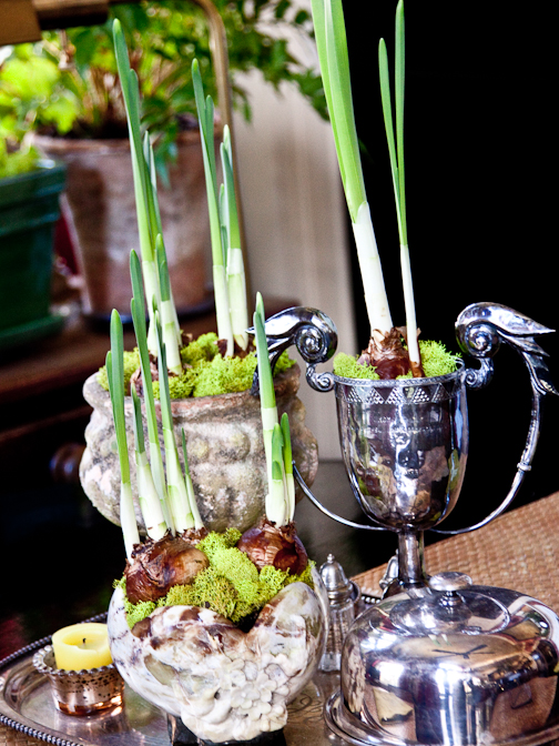 Garden, Home and Party 12.4.12