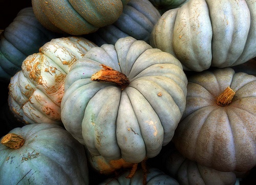 Garden, Home and Party 11.20.12