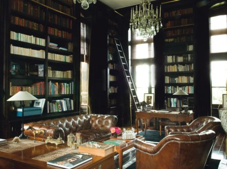 tumblr_wasping ladder library