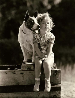 tumblr_misf6aWIsH1qefrmxo1_250