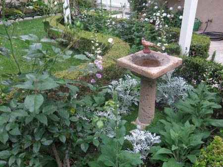 Garden, Home and Party, yard work