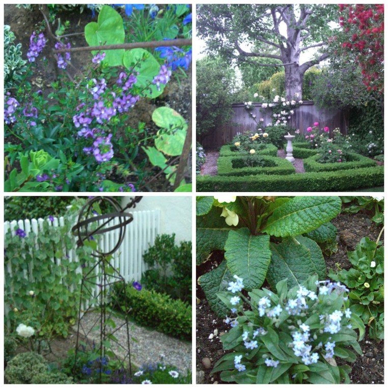 Garden, Home and Party