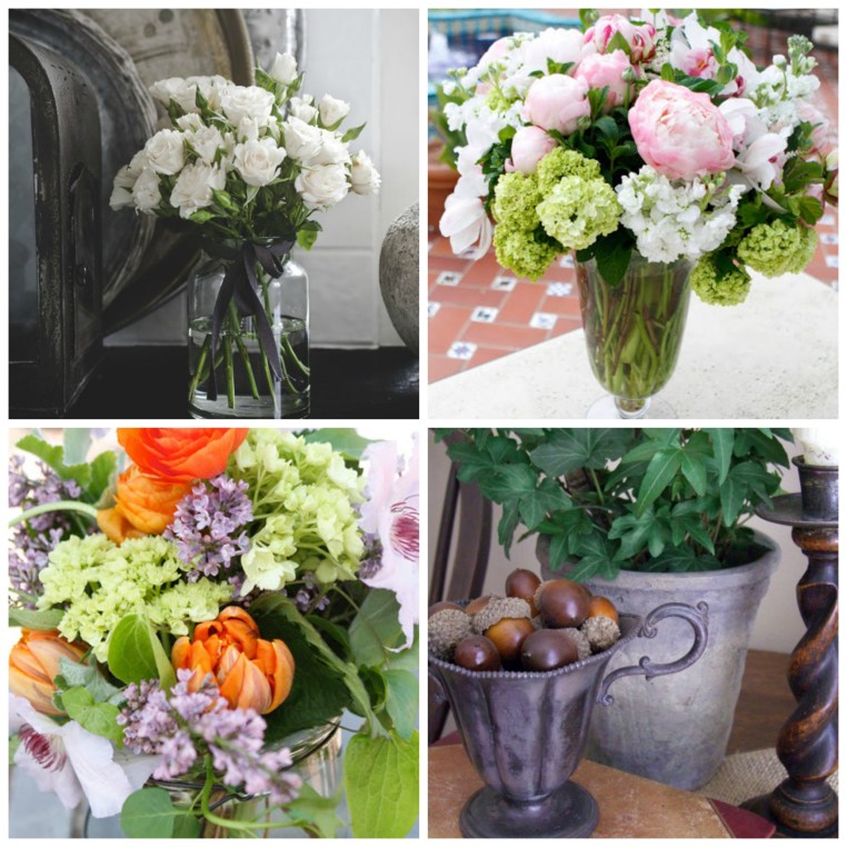 fresh flowers and plants