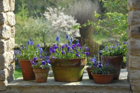 Garden, Home and Party, Mother's Day