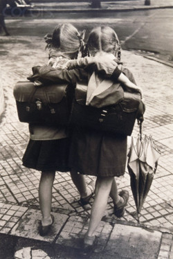 tumblr love French bulldogs