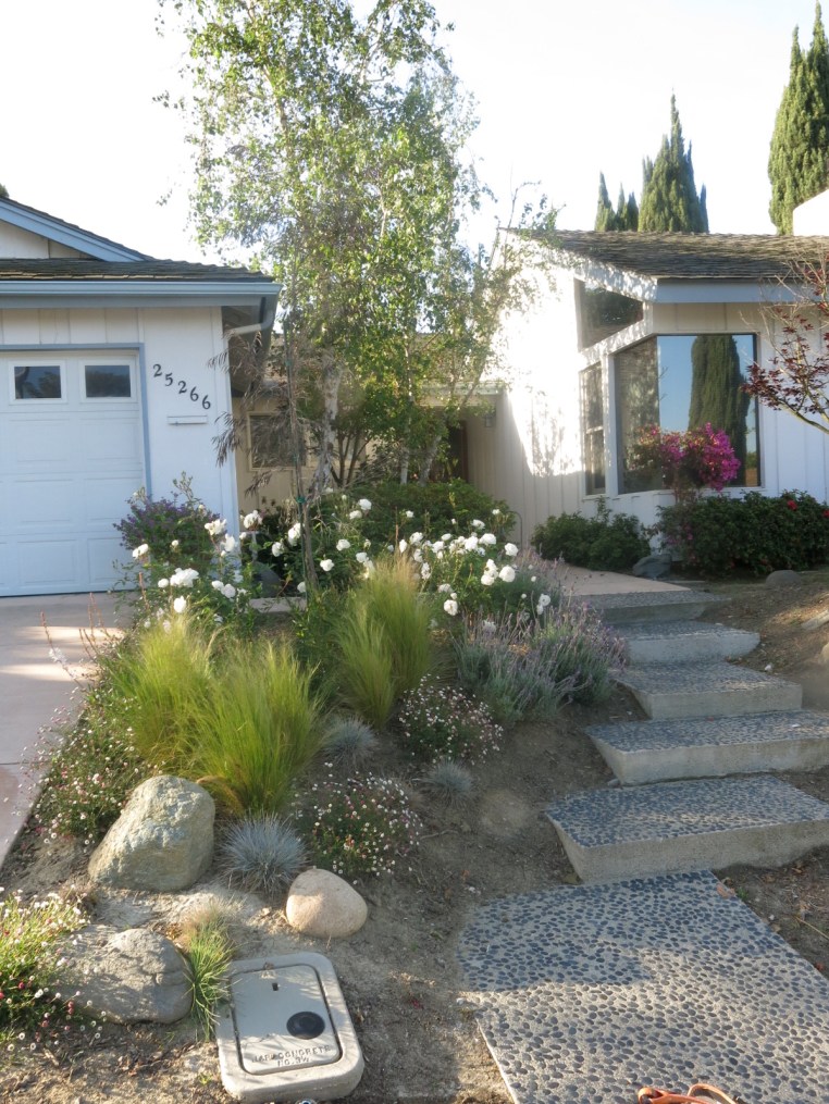 Garden, Home and Party