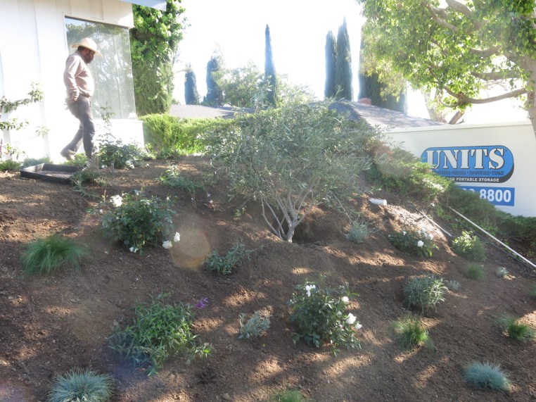 Garden, Home and Party