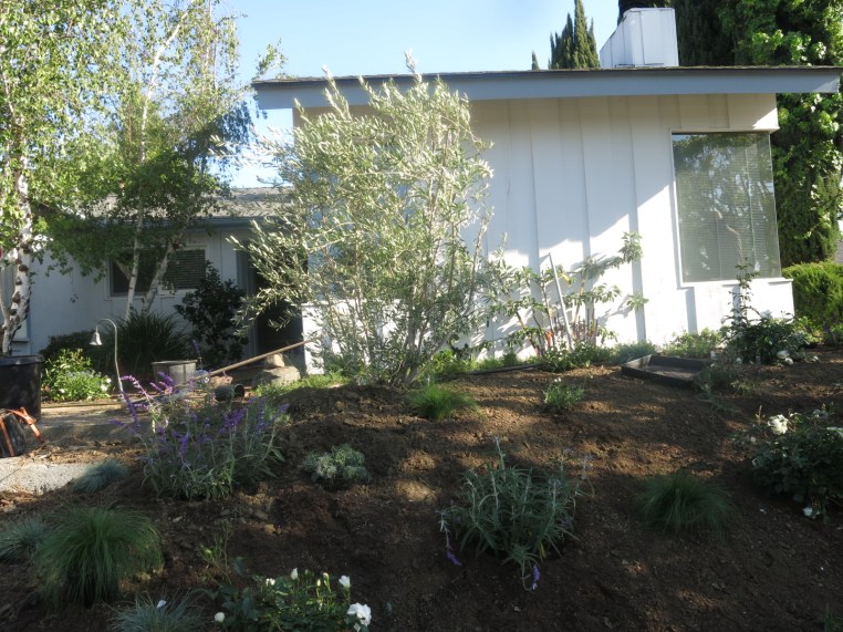 Garden, Home and Party