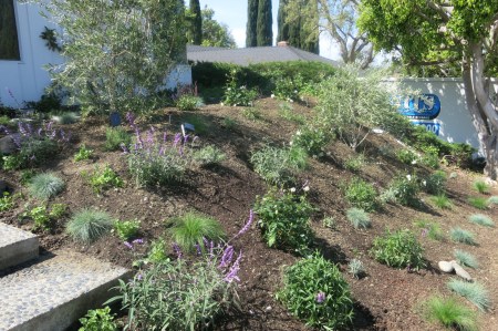 Garden, Home and Party