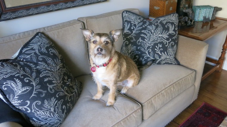 Garden, Home and Party