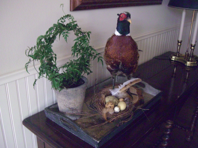 Garden, Home and Party, topiary