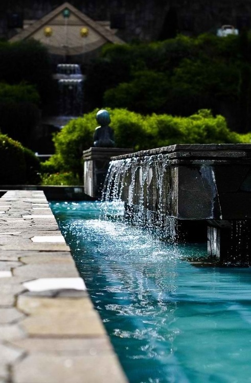 Garden, Home and Party, summer heat