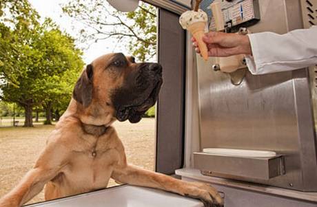 Garden, Home and Party, summer