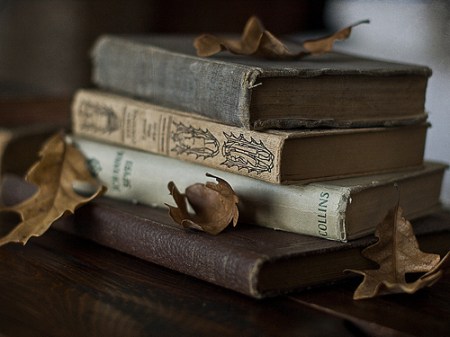 Garden, Home and Party: Fall Favorites