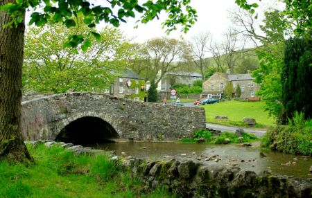 Garden, Home and Party: Moss in the garden