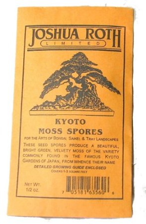 Garden, Home and Party: Moss in the garden