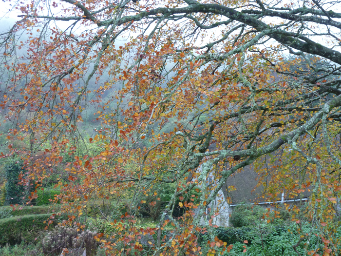 Garden, Home and Party: Fall Favorites 2013