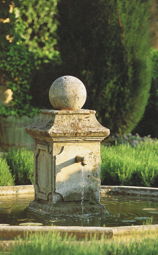 Garden, Home and Party: Moss in the garden