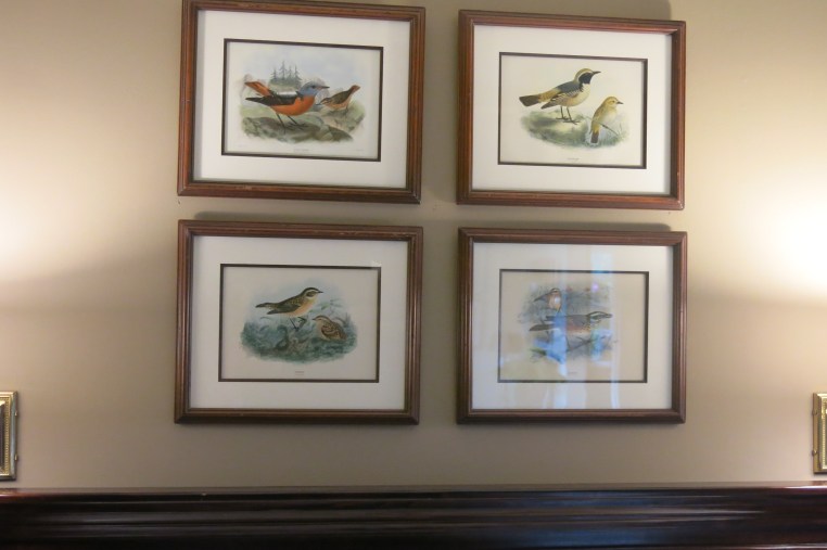 Garden, Home and Party: New paint color and bird plates, MB