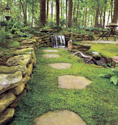 Garden, Home and Party: Moss in the garden
