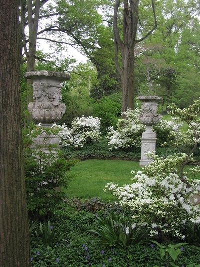 Garden, Home and Party: Moss in the garden