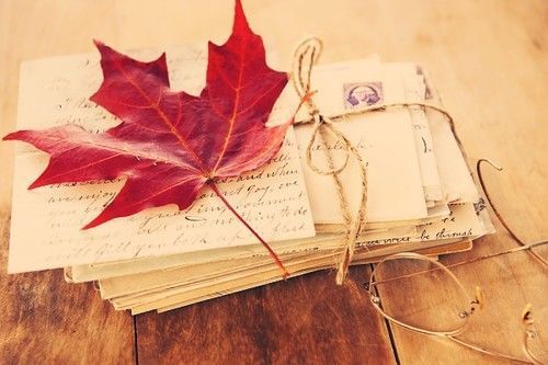 Garden, Home and Party: Fall Favorites