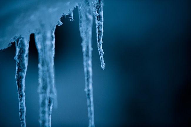 Garden, Home and Party: Artist introduced