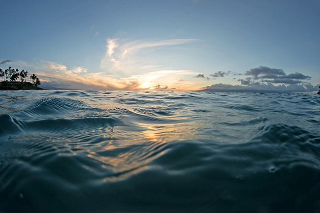 Garden, Home and Party: Artist Introduced