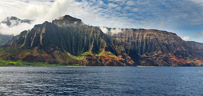 Garden, Home and Party: Artist Introduced