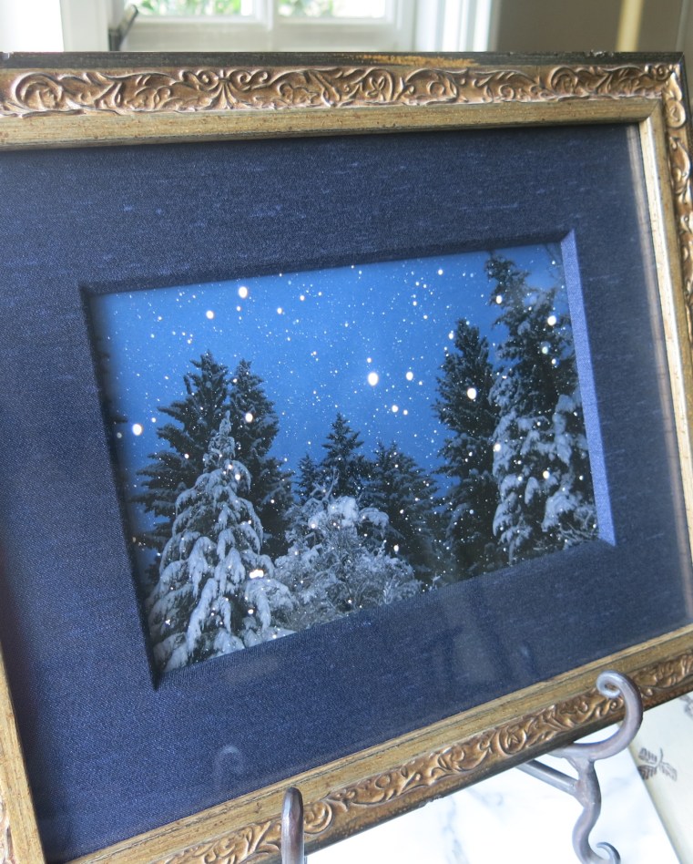 Garden, Home and Party: Artist Introduction