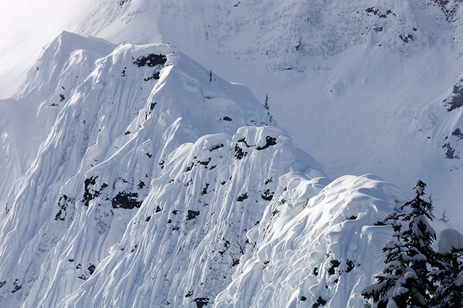 Garden, Home and Party: Artist indroduced