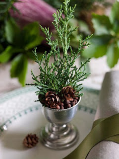 Garden, Home and Party: O Tannenbaum