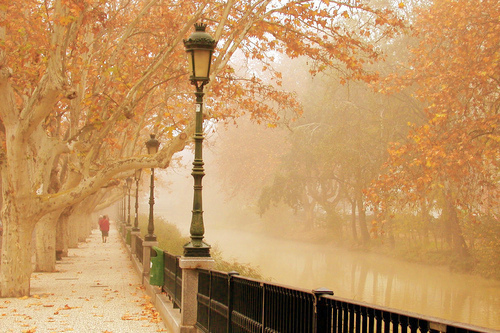 Garden, Home and Party: Happy Thanksgiving