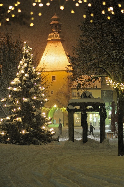 Garden, Home and Party: 2014