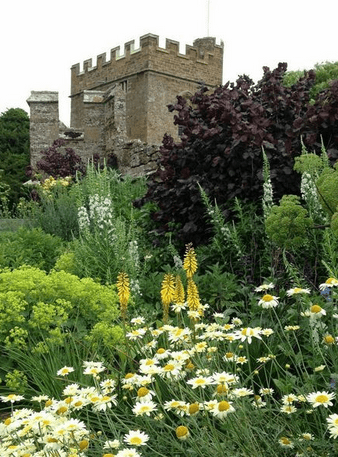 Garden, Home and Party: Garden inspiration