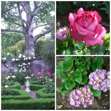 Garden, Home and Party: Garden inspiration