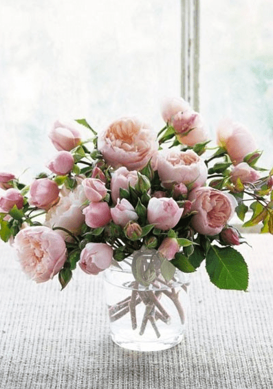 Garden, Home and Party: I wish you love