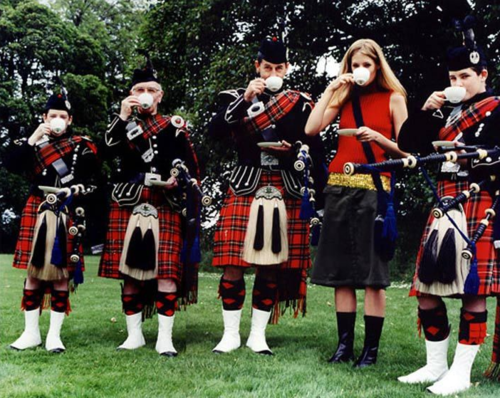 Garden, Home and Party: Plaid