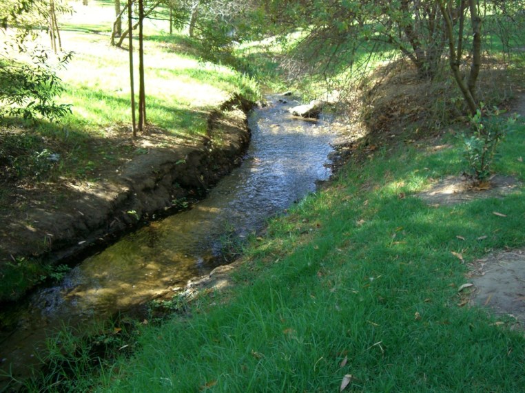 Garden, Home and Party: Arbor Day 2014